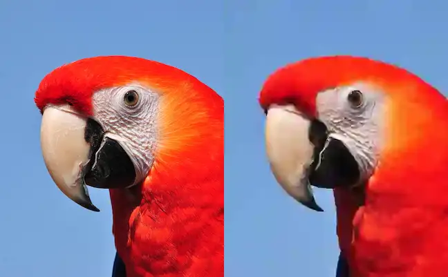 Left - original, Right - compressed