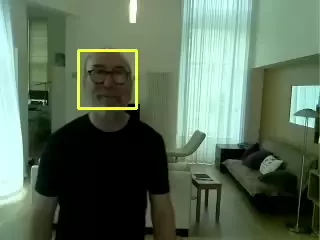 Face Detection