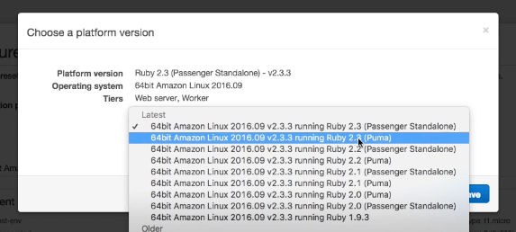Select Puma and Ruby 2.3.3